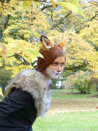 der schlaue Fuchs
